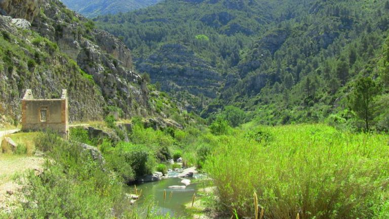 XI Ruta a Peu pel Barranc de l'Infern