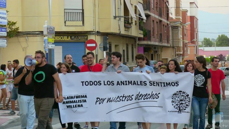 Més de mig centenar de persones es manifesten contra els bous embolats a Castalla