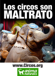 Circ Animals Castalla Maltracte Tortura