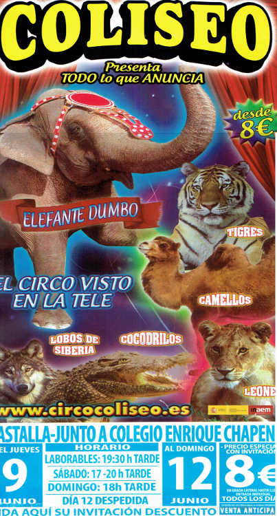 Circ Castalla Coliseo Maltracte Stop Circs Animals