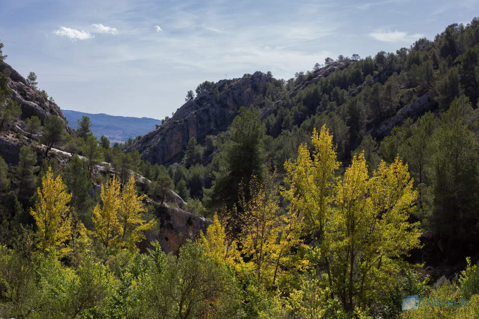 Barranc dels Molins d'Ibi