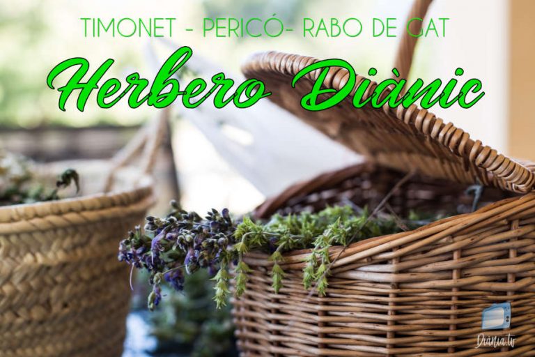 Herbero Diànic  (1) – Timonet, Pericó i Rabo de Gat